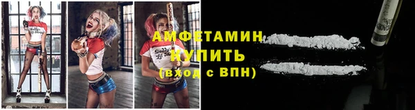 сатива Нефтекумск