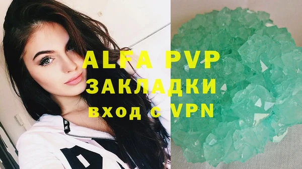 сатива Нефтекумск