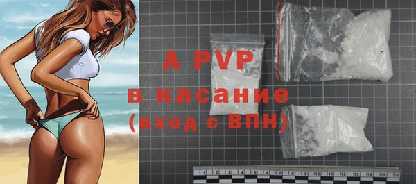 сатива Нефтекумск