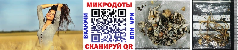 это телеграм  Королёв  Псилоцибиновые грибы мицелий 